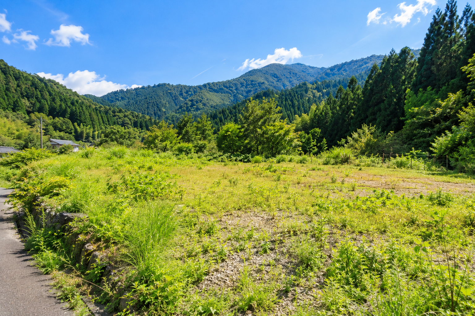 山々と森林に囲まれた、雑草が生い茂る空き地・遊休地